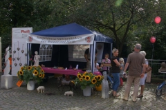 Stadtfest 2011